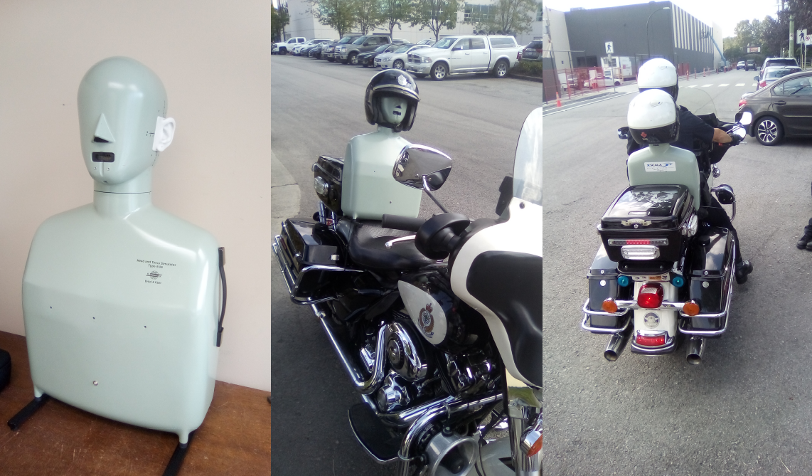 Head and Torso Simulator